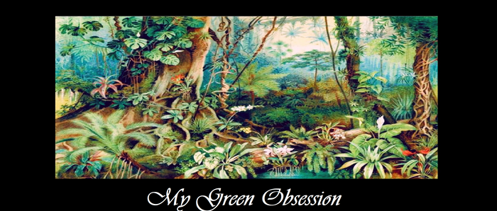 My Green Obsession 